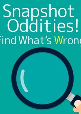 Snapshot Oddities! Find What's Wrong