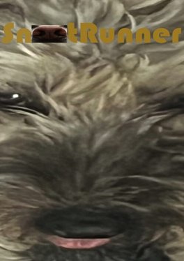 Snoot Runner